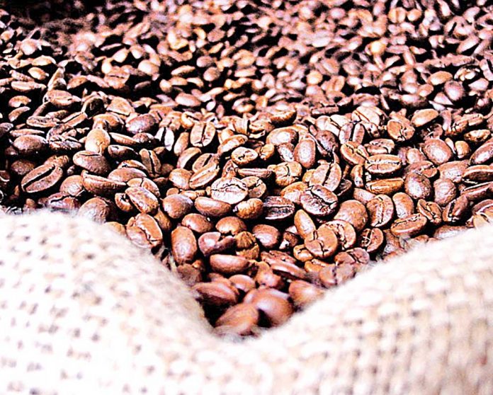 Café robusta se valoriza bastante por demanda e dólar e tira distância de  preço do arábica